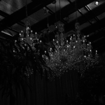 nightf4ll