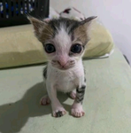 *.*.