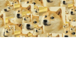 X_dan