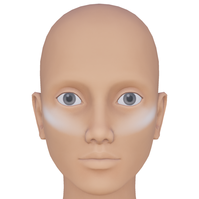 Bold Cheekbone White Highlight Makeup Bright Diva