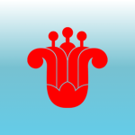 China Southern Airlines 中国南方航空