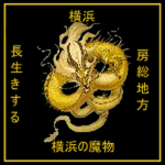 Yokohama Demons | 横浜