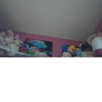 Bear squad group.............?......