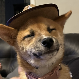 The World Of Doge