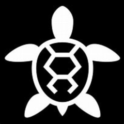turtle obby