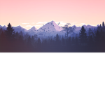 YT DEV Program