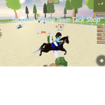 Sapphire Riding Team Tack Shop