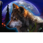 Equipe du loup FR