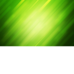 LIME GANG WETOVER