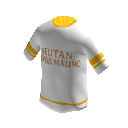 Baju Hutan Pinus Malino thumbnail
