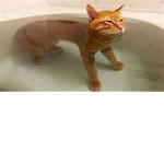 luxr