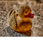 The dirty ducks