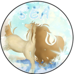 Stars Echo Academy