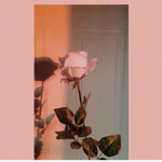 Ivoteforcats
