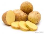 ~Potato Fam~