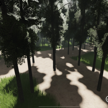 Realistic Forest Trail
