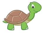 Ty turtle club
