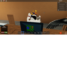 simulator
