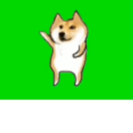 The Epic Doge Fan Club!!!
