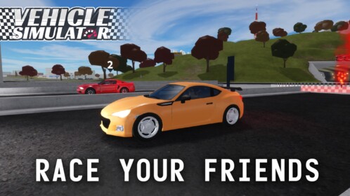 Vehicle Simulator