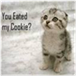 Baby Kittehs Fan Group