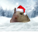maddy__playz