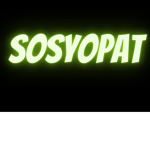 Kaptanın Günlüğü