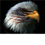 American Fighters