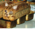 cat bread group