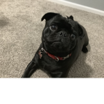 Giveaway group (not to much funds)