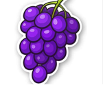 WE EAT GRAPES ALL THE TIME