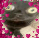Darflen