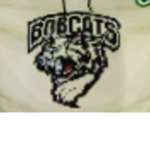 Bobcats hockey