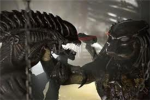 Predator squad alpha