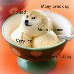 DOGE GROUP FAME