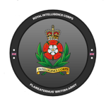 [BA] - Royal Intelligence Corps -