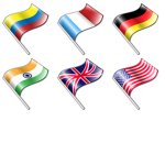 flags of swag