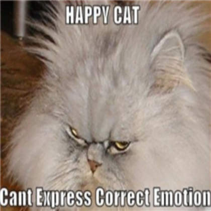 LOL Cats - Happy Cat Roblox decal