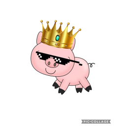 Pig Hangout