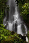 Just Bad Games