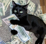 Money Cat Games