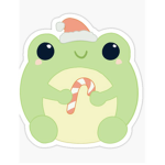 FROOGGY FOR LIFE