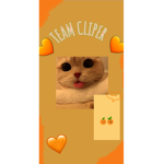 Team Cliper
