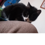 Ola :<