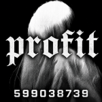 profit ; fg