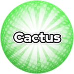 Cactus!