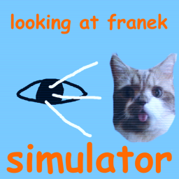 Looking at Franek Simulator
