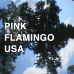 PINKFLAMINGOUSA