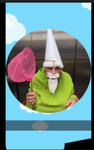 Federal Gnome Society