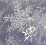 WinterWin